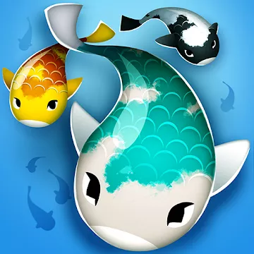 Zen Koi