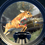 Safari Hunt