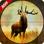 Deer Hunting