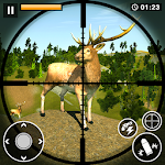 Animal & Dear Hunter