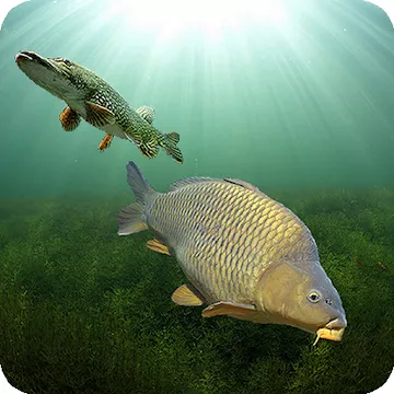 3DCARP