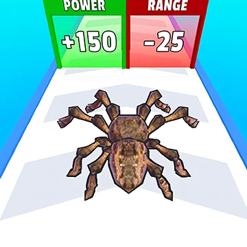 Spider Evolution