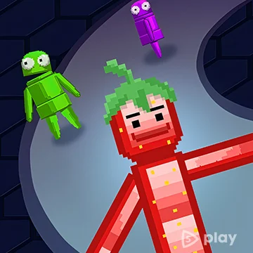 Ragdoll
