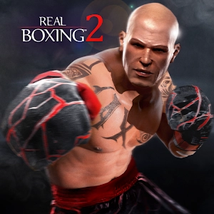 Real Boxing
