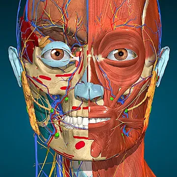 Anatomy Learning -