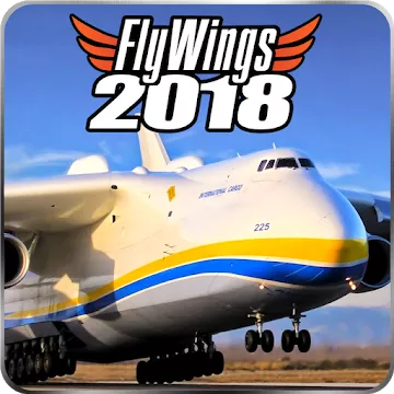 Flight Simulator