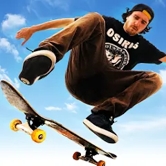 Skateboard Party