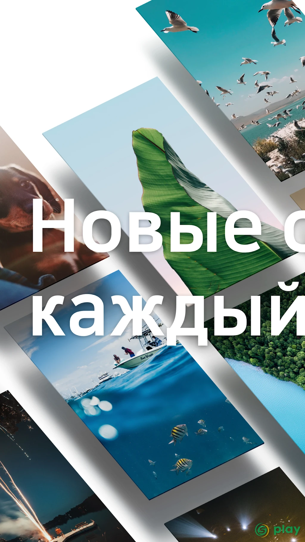 HD Обои — скриншот 1