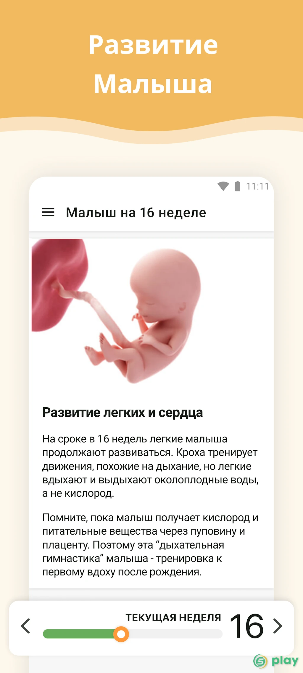 Календарь беременности — скриншот 2