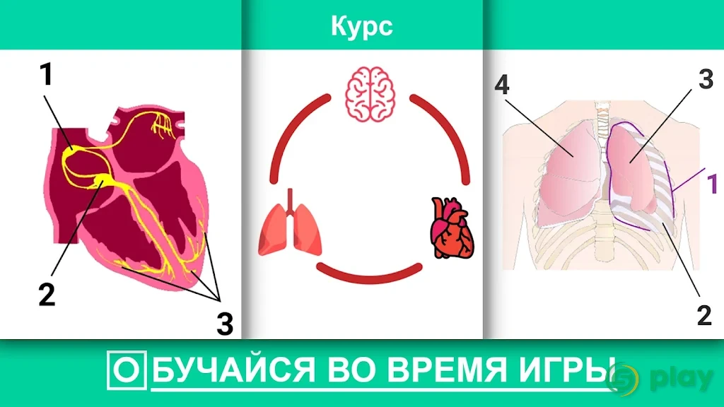 Reanimation inc - лучший медицинский симулятор — скриншот 6