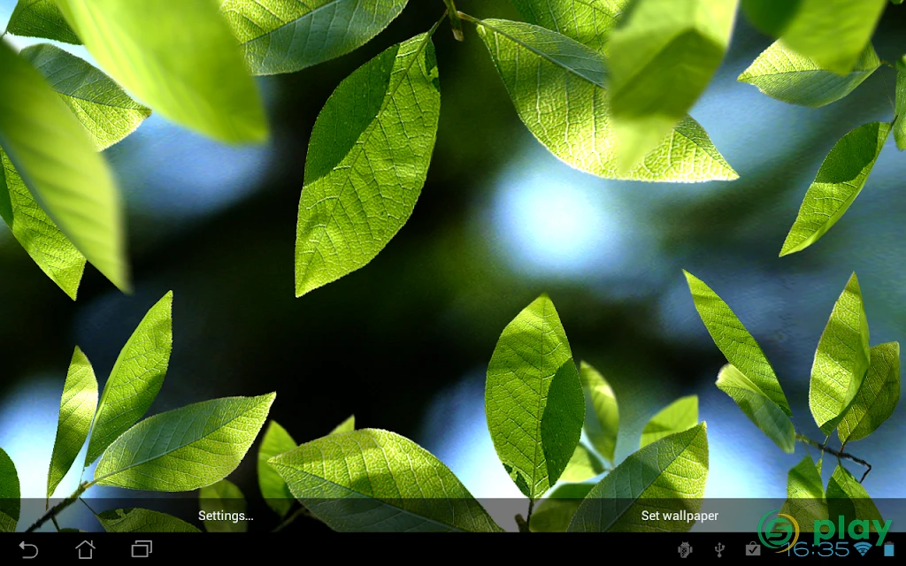 Fresh Leaves — скриншот 11