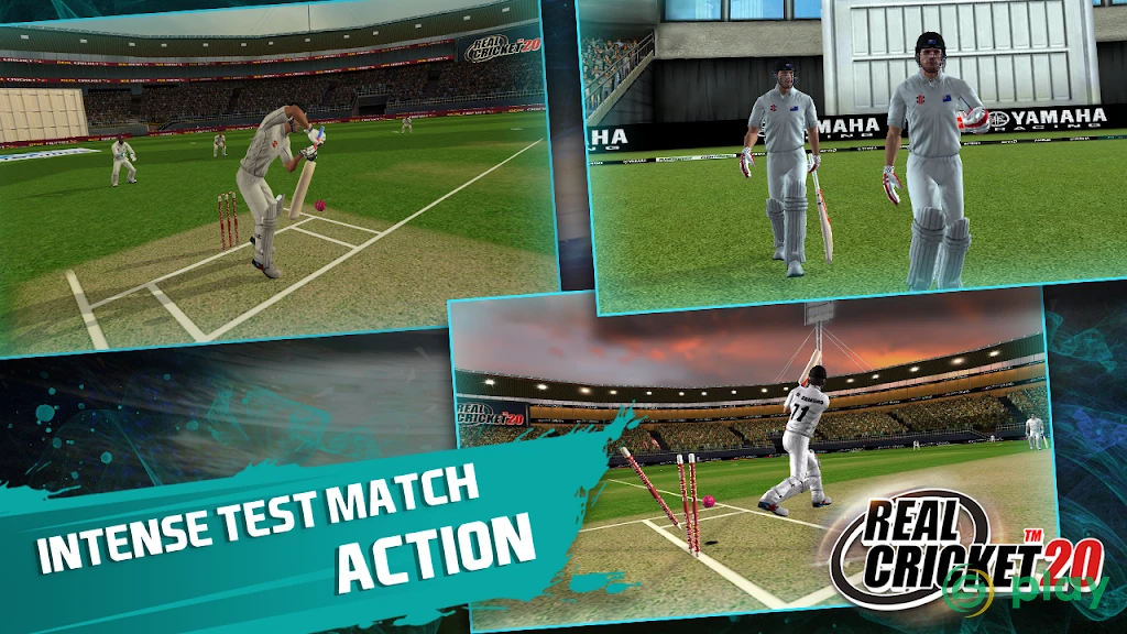 Real Cricket 20 — скриншот 6