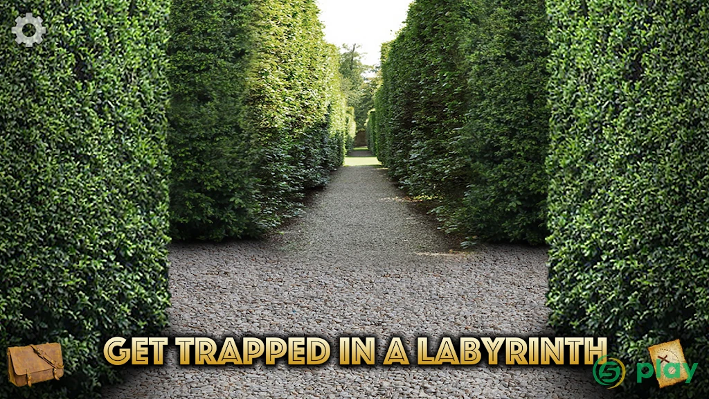The Mystery of Blackthorn Castle — скриншот 7