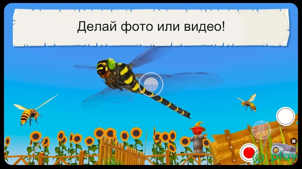 Жуки и насекомые (Полная версия) — скриншот 2