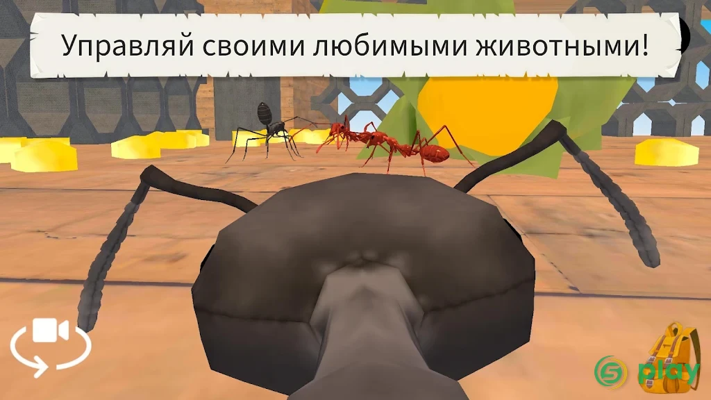 Жуки и насекомые (Полная версия) — скриншот 7