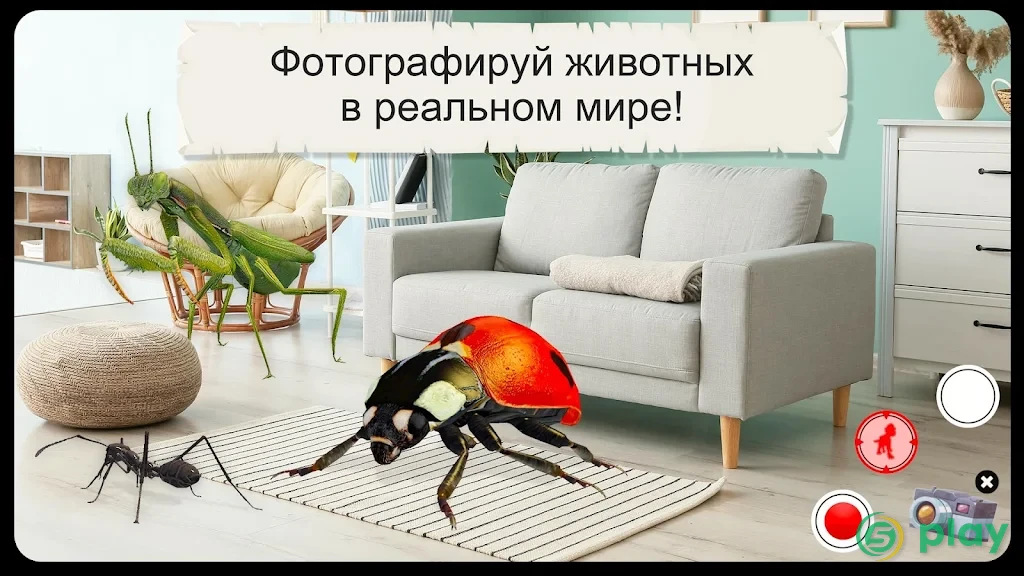 Жуки и насекомые (Полная версия) — скриншот 8