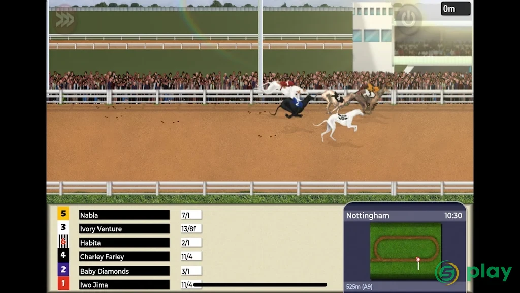 Greyhound Manager Touch — скриншот 8