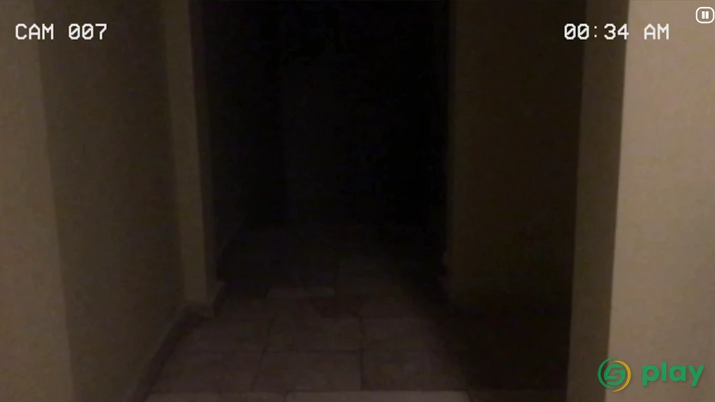 Paranormal Inc. — скриншот 7