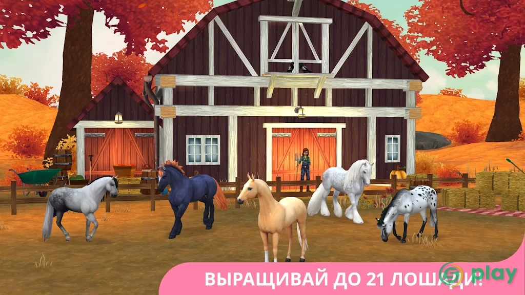 Star Stable Online — скриншот 4