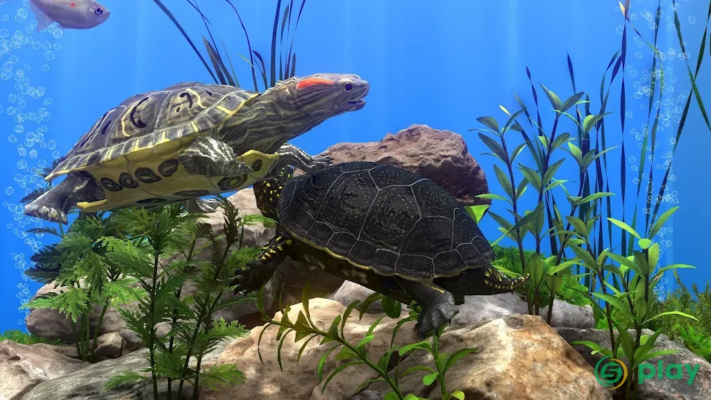 Fish Farm 4: 3D Аквариум — скриншот 3