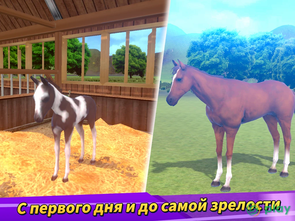Derby Life — скриншот 11