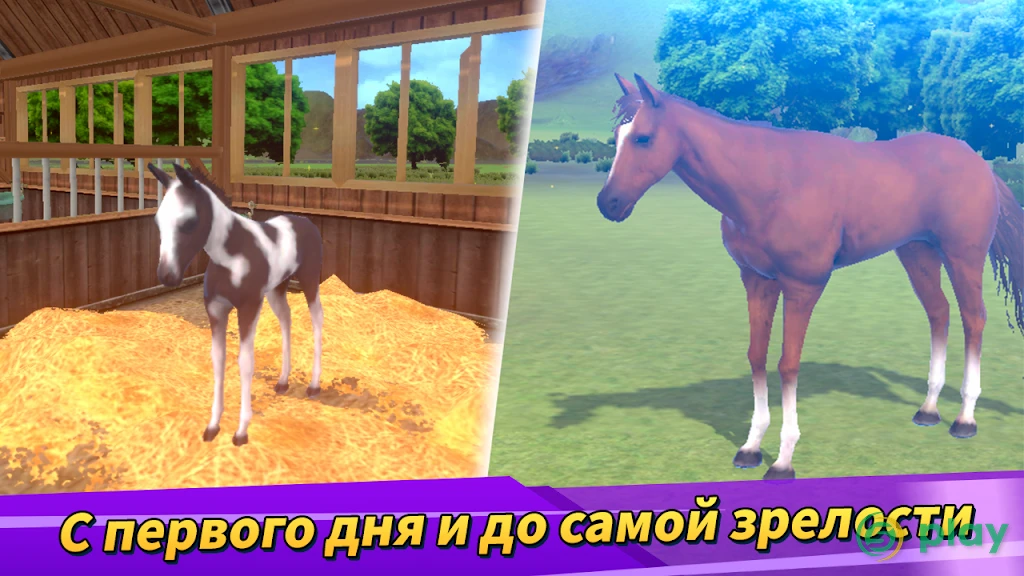 Derby Life — скриншот 3