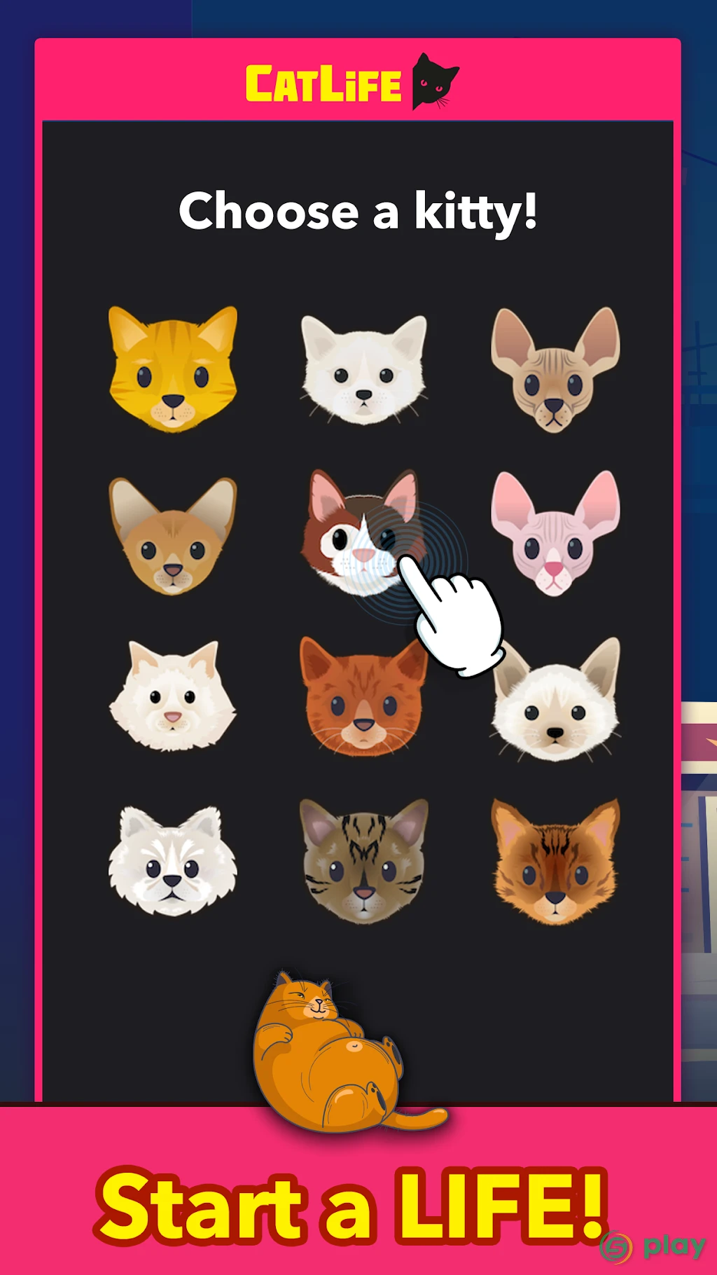 BitLife Cats - CatLife — скриншот 1