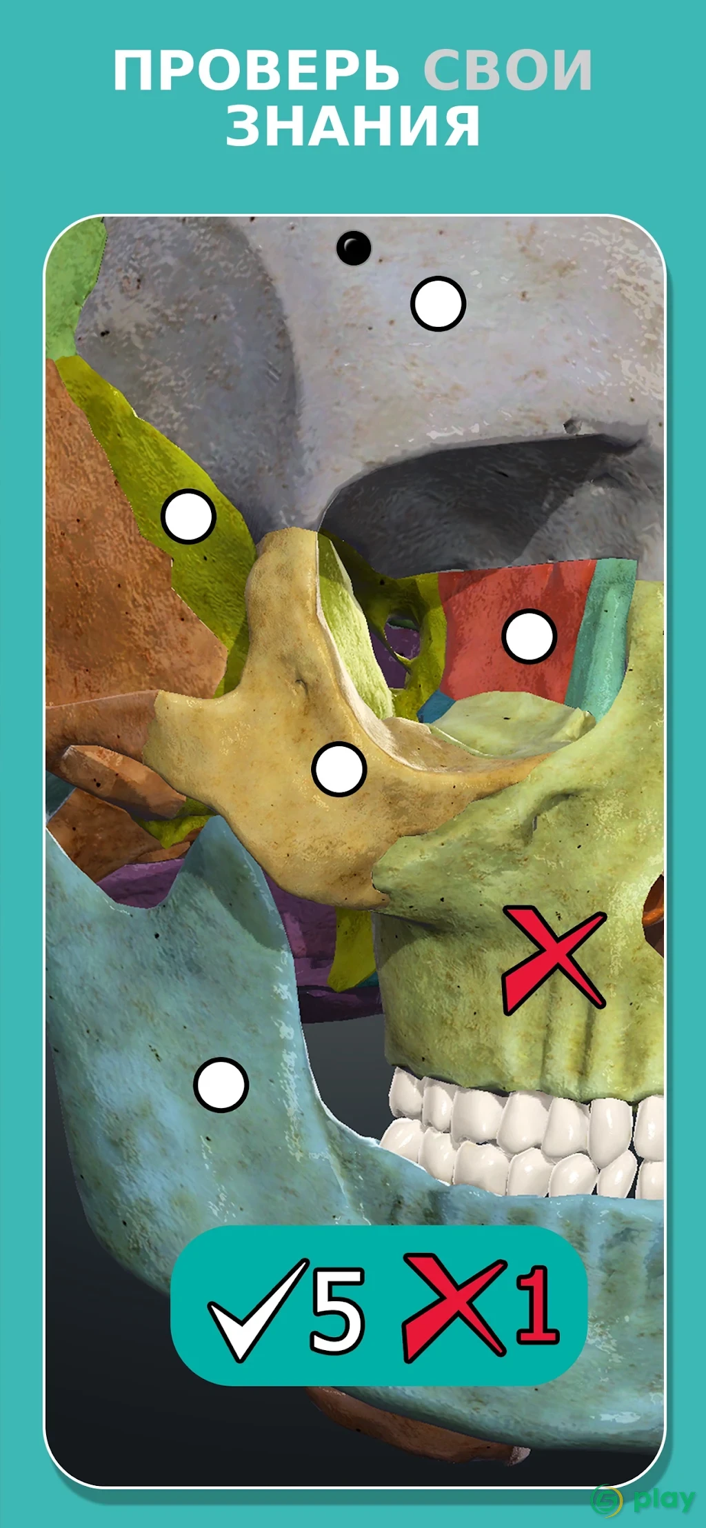 Anatomy Learning - 3D анатомический атлас — скриншот 6
