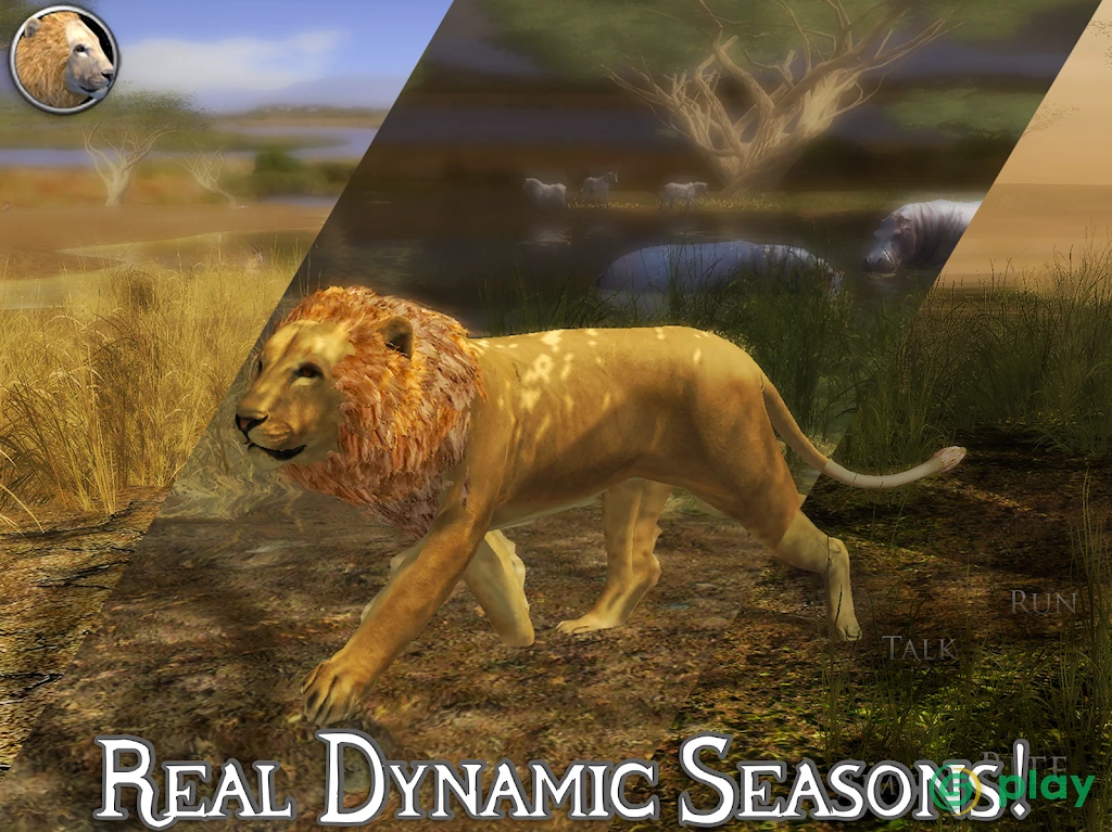 Ultimate Lion Simulator 2 — скриншот 9