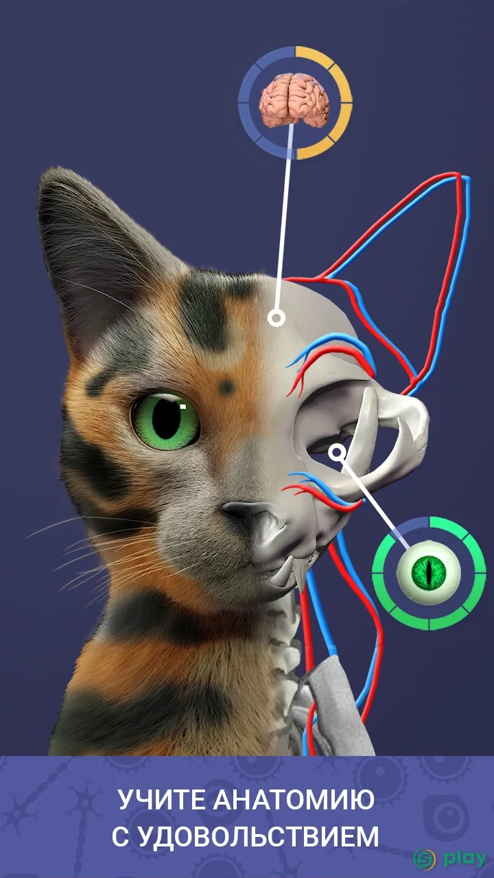 Idle Pet - Create cell by cell — скриншот 2
