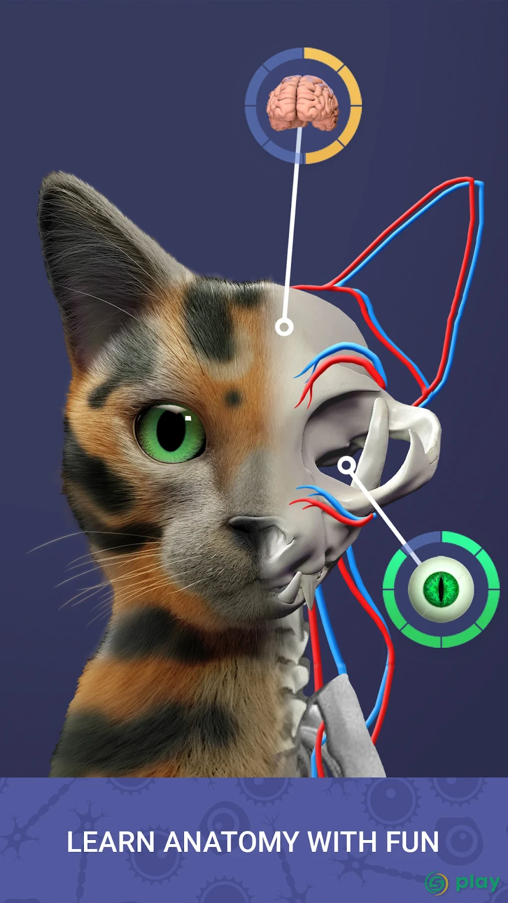 Idle Pet - Create cell by cell — скриншот 8