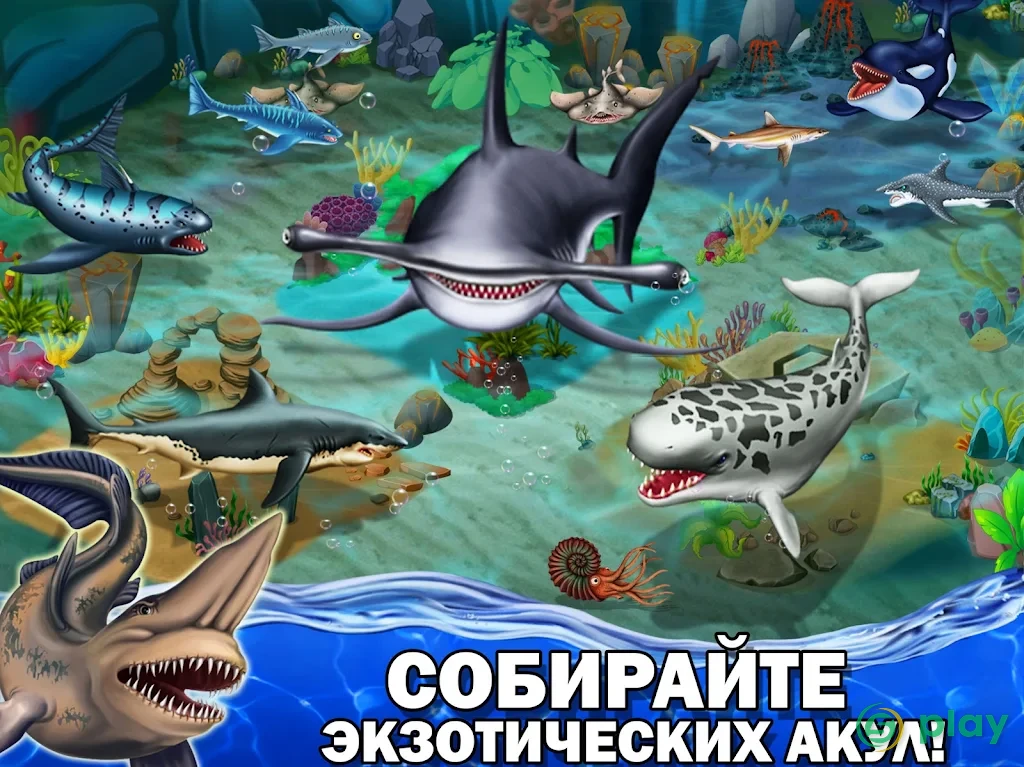 Shark World — скриншот 3