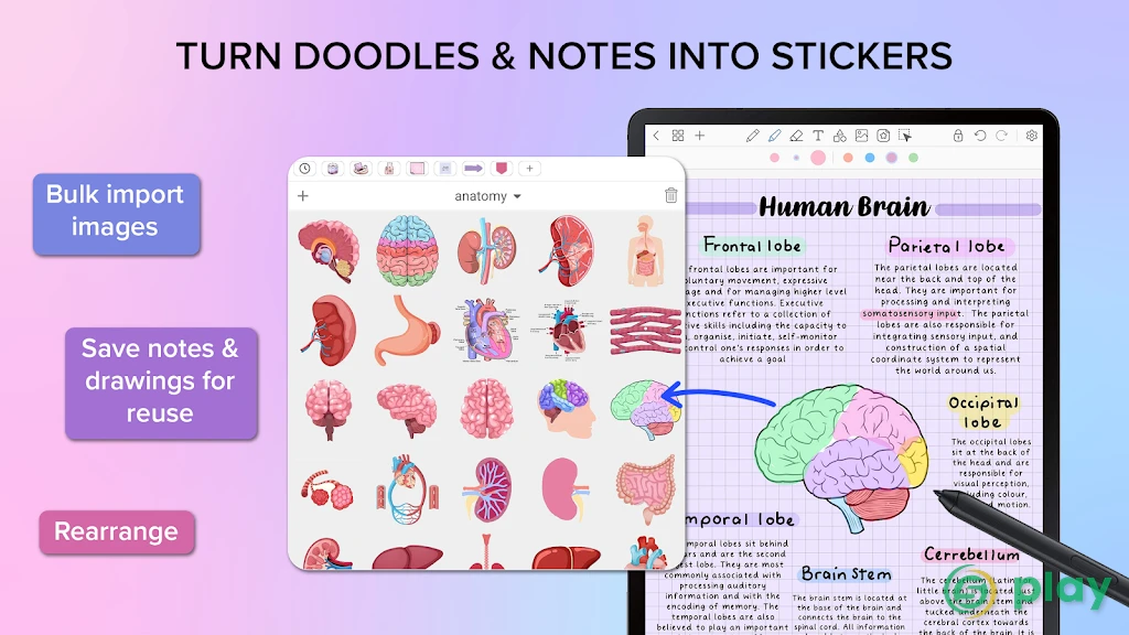Penly: Digital Planner & Notes — скриншот 10