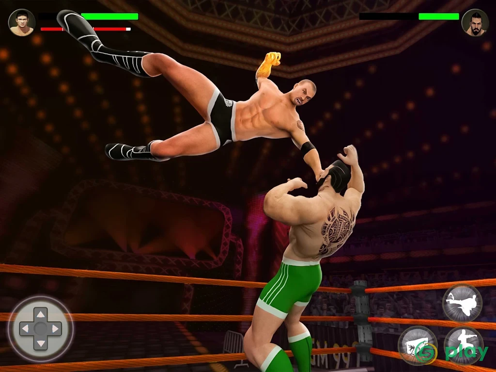 World Tag Team Wrestling Revolution Чемпионат — скриншот 5
