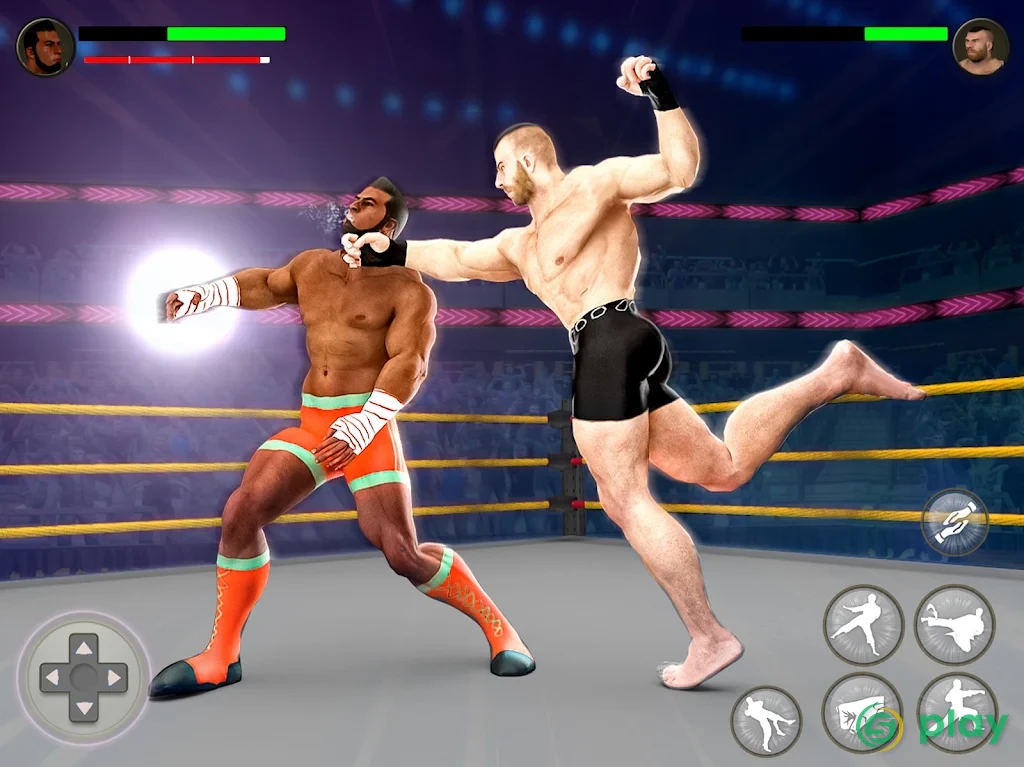 World Tag Team Wrestling Revolution Чемпионат — скриншот 6