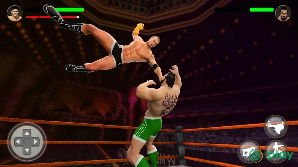 World Tag Team Wrestling Revolution Чемпионат — скриншот 9