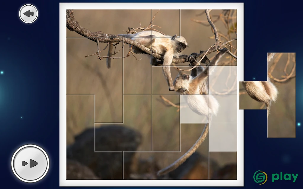 IMAGEine Premium — скриншот 12