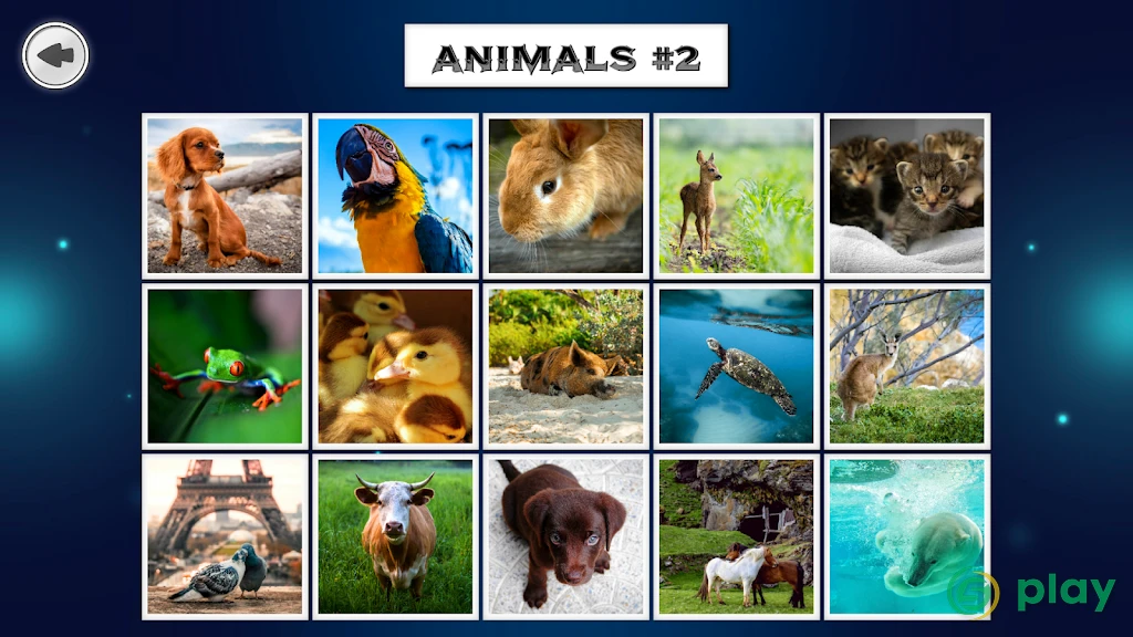 IMAGEine Premium — скриншот 7